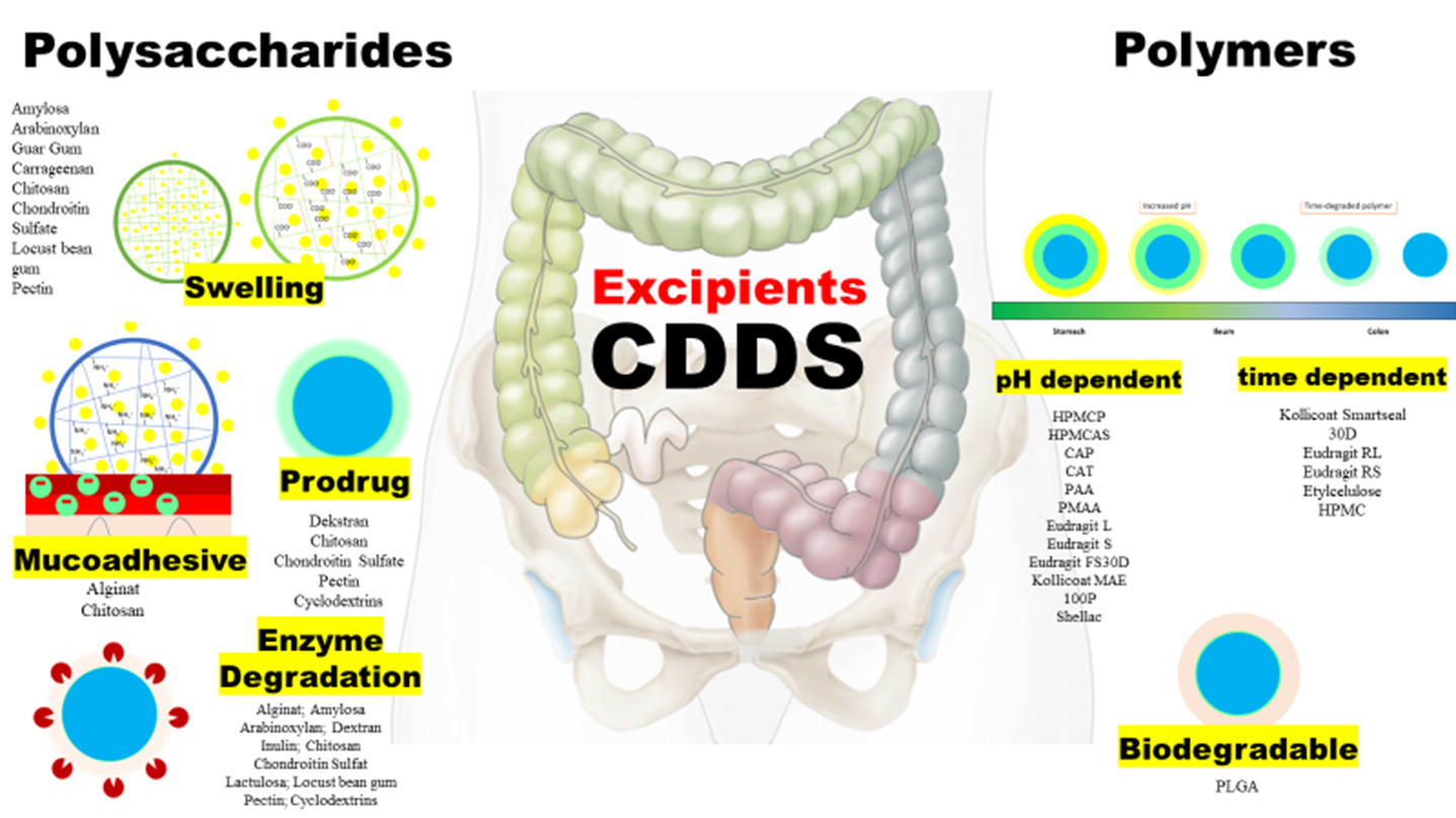 Graphical Abstract